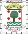 escudo Iraultza CF