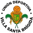escudo UD Villa de Santa Brígida