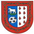 escudo Berriozar CF
