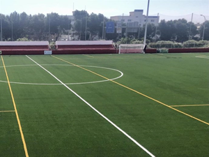 campo de futbol